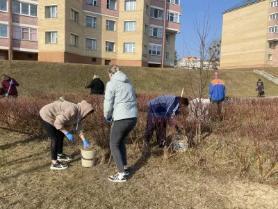 л